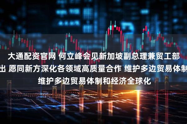 大通配资官网 何立峰会见新加坡副总理兼贸工部长颜金勇时指出 愿同新方深化各领域高质量合作 维护多边贸易体制和经济全球化