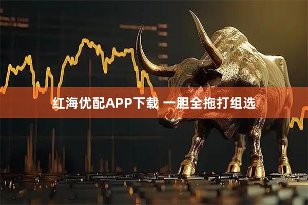 红海优配APP下载 一胆全拖打组选