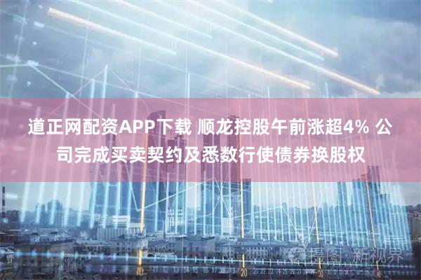 道正网配资APP下载 顺龙控股午前涨超4% 公司完成买卖契约及悉数行使债券换股权