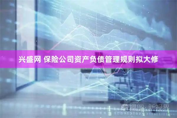 兴盛网 保险公司资产负债管理规则拟大修